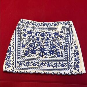 Francesca's Collections White & Blue Floral Embroidered Mini Skirt